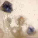 Quartz With Fluorite Inclusions (Doubly-Terminated) - image 3