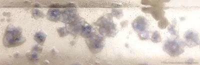 Quartz With Fluorite Inclusions (Doubly-Terminated) - image 2