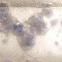 Quartz With Fluorite Inclusions (Doubly-Terminated) - image 2