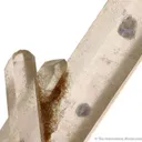 Quartz With Fluorite Inclusions (Doubly-Terminated) - image 2