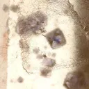 Quartz With Fluorite Inclusions - image 2