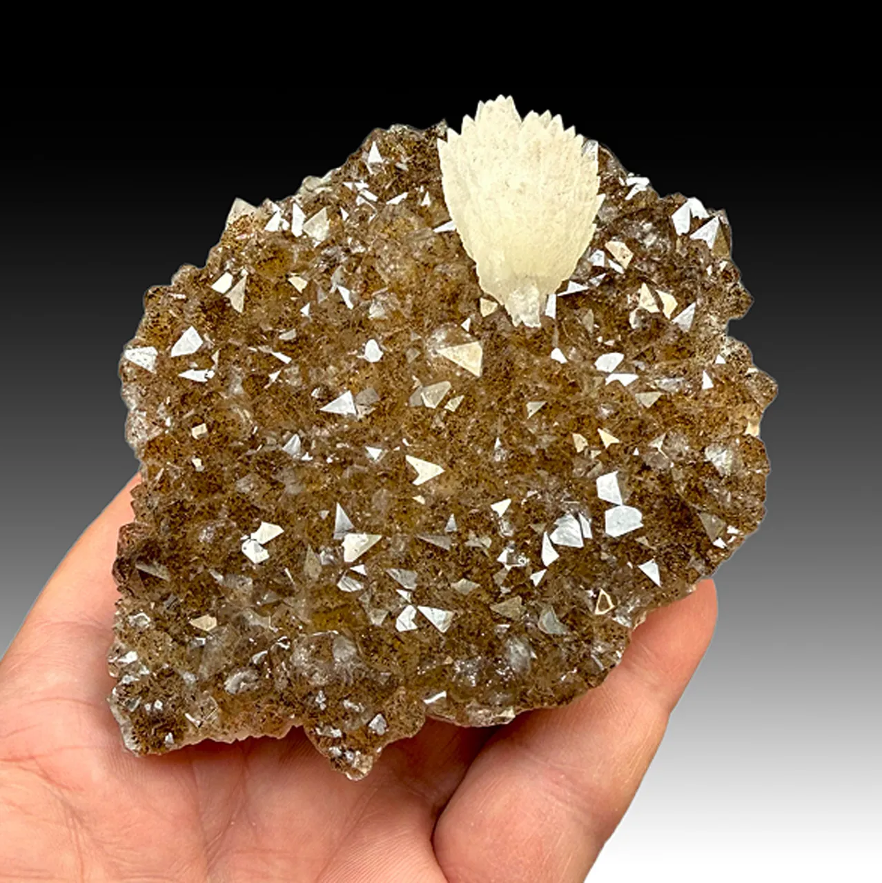 Quartz with Goethite, Calcite (47) - image 1