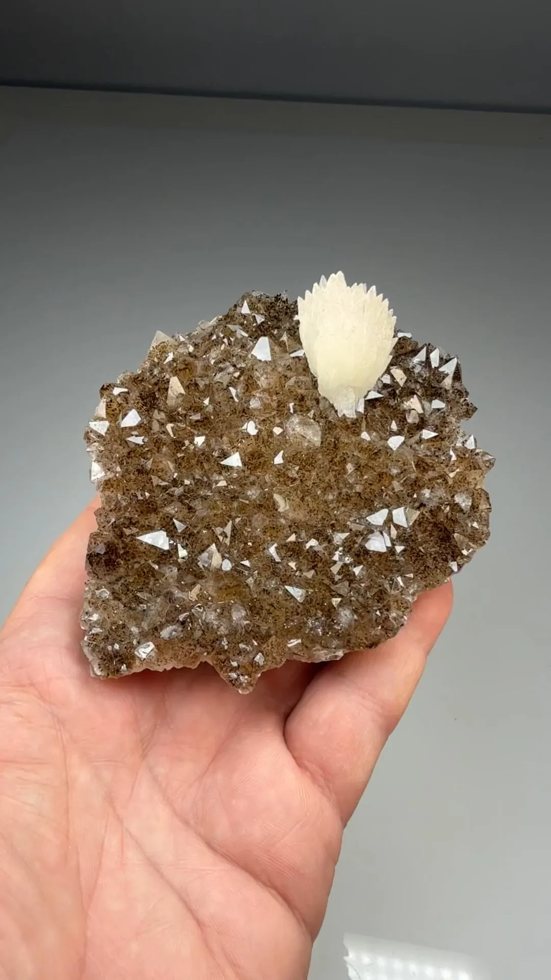 Quartz with Goethite, Calcite (47) - image 2