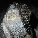 Quartz with goethite coating - image 7