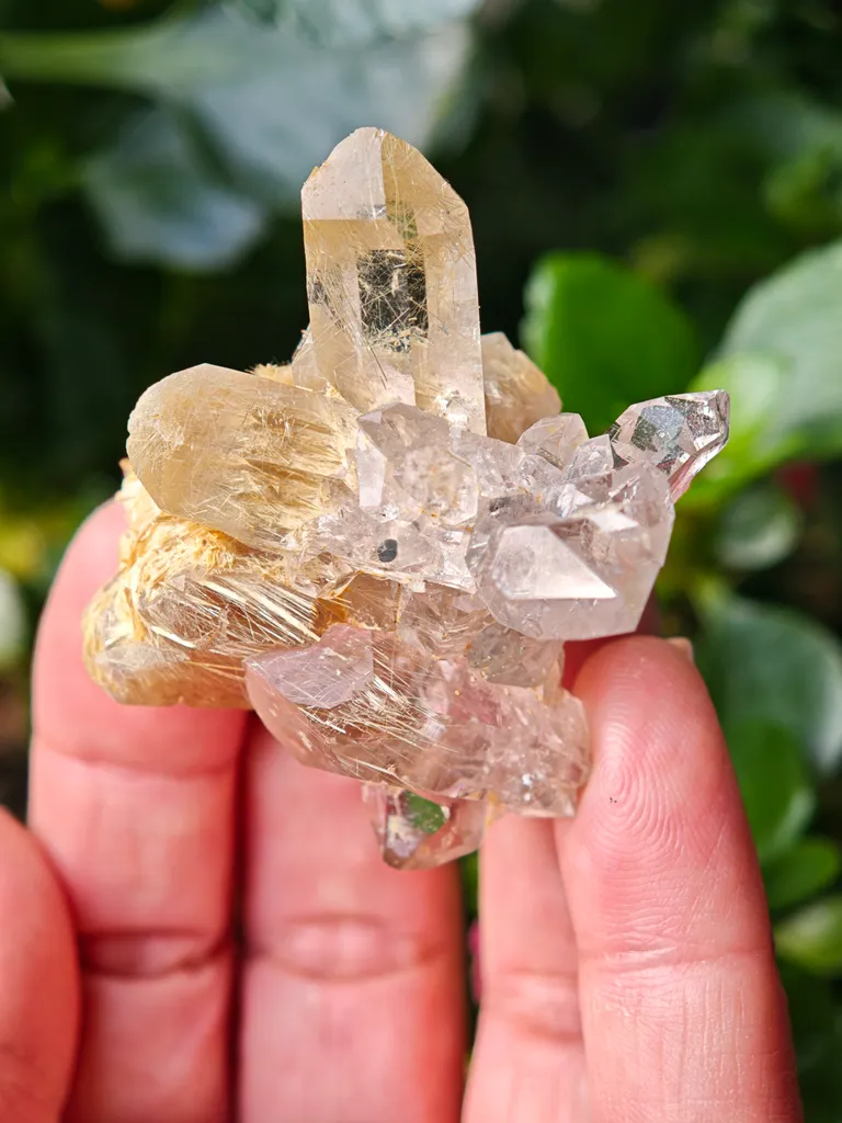 Quartz with golden rutile from Novo Horizonte, Brazil. Water-clear quartz points shot through with radiant sprays of golden rutile needles - image 6