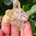 Quartz with golden rutile from Novo Horizonte, Brazil. Water-clear quartz points shot through with radiant sprays of golden rutile needles - image 6