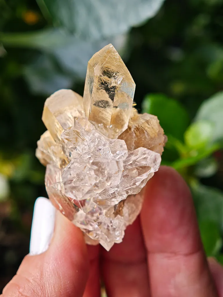 Quartz with golden rutile from Novo Horizonte, Brazil. Water-clear quartz points shot through with radiant sprays of golden rutile needles - image 8