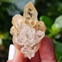 Quartz with golden rutile from Novo Horizonte, Brazil. Water-clear quartz points shot through with radiant sprays of golden rutile needles - image 8