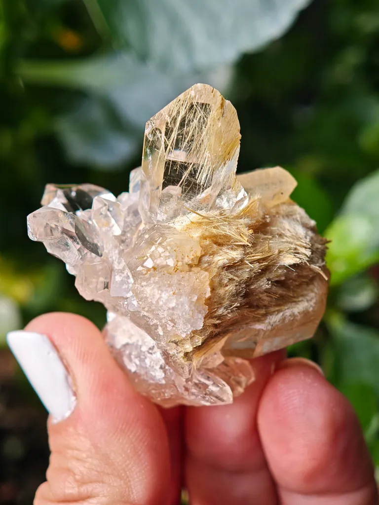 Quartz with golden rutile from Novo Horizonte, Brazil. Water-clear quartz points shot through with radiant sprays of golden rutile needles - image 4