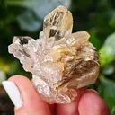 Quartz with golden rutile from Novo Horizonte, Brazil. Water-clear quartz points shot through with radiant sprays of golden rutile needles - image 4