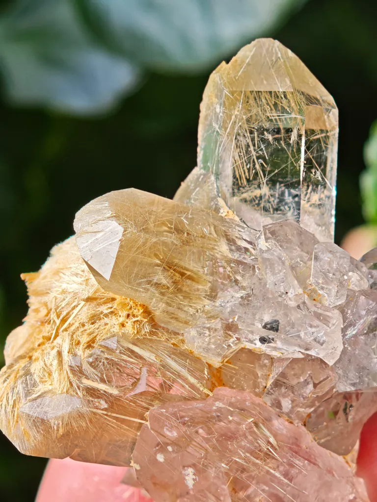 Quartz with golden rutile from Novo Horizonte, Brazil. Water-clear quartz points shot through with radiant sprays of golden rutile needles - image 7