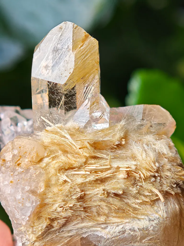 Quartz with golden rutile from Novo Horizonte, Brazil. Water-clear quartz points shot through with radiant sprays of golden rutile needles - image 5