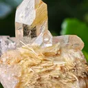Quartz with golden rutile from Novo Horizonte, Brazil. Water-clear quartz points shot through with radiant sprays of golden rutile needles - image 5
