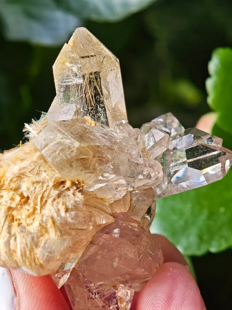 Quartz with golden rutile from Novo Horizonte, Brazil. Water-clear quartz points shot through with radiant sprays of golden rutile needles - image 2