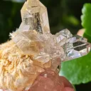 Quartz with golden rutile from Novo Horizonte, Brazil. Water-clear quartz points shot through with radiant sprays of golden rutile needles - image 2