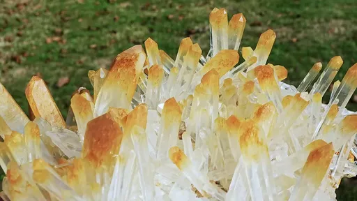 specimen video