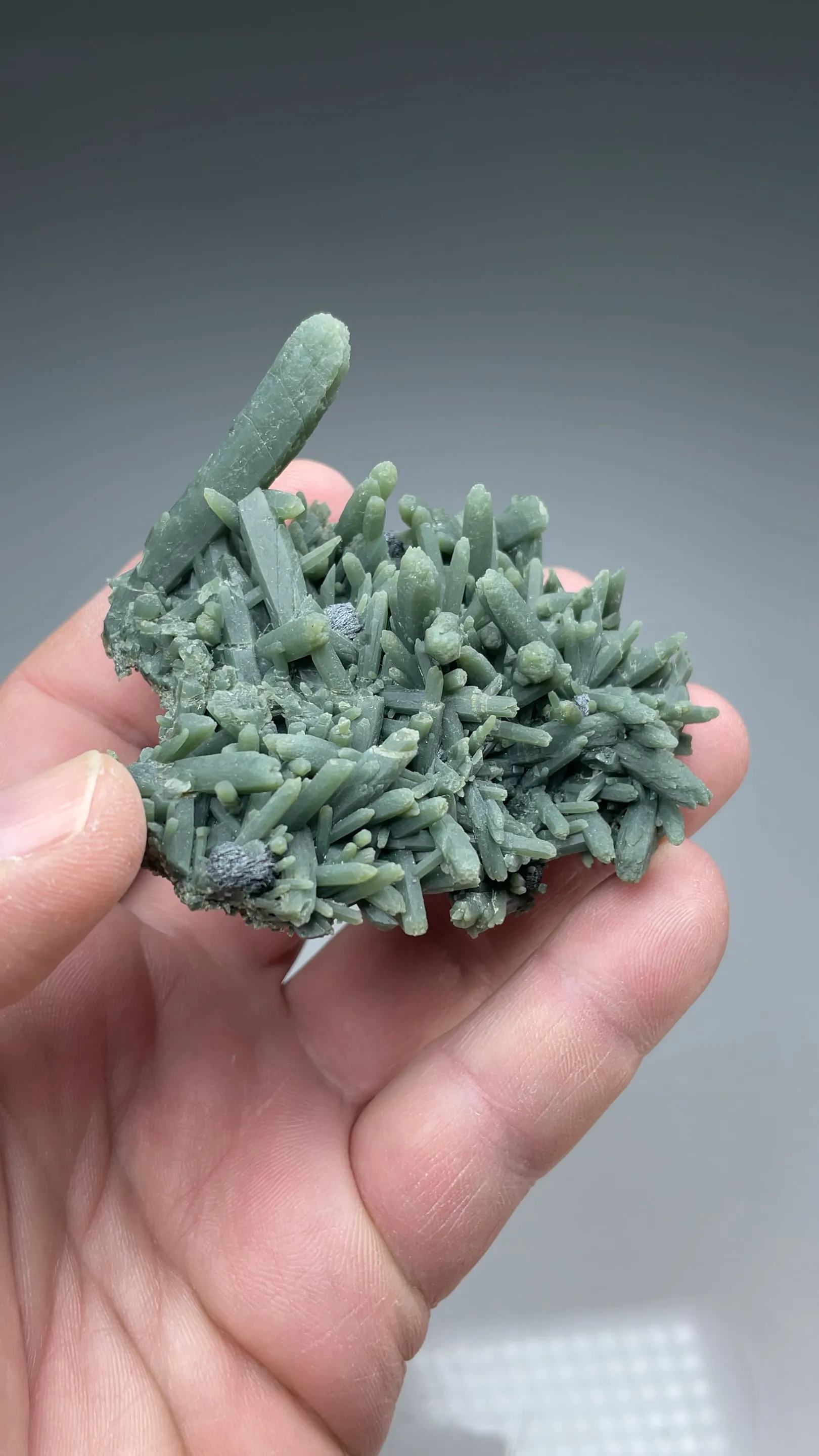 Quartz with Hedenbergite - image 2