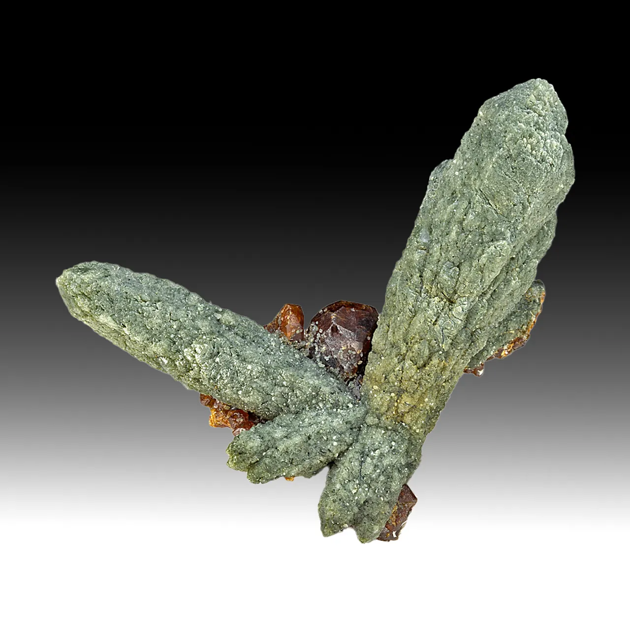 Quartz with Hedenbergite, Andradite - image 1