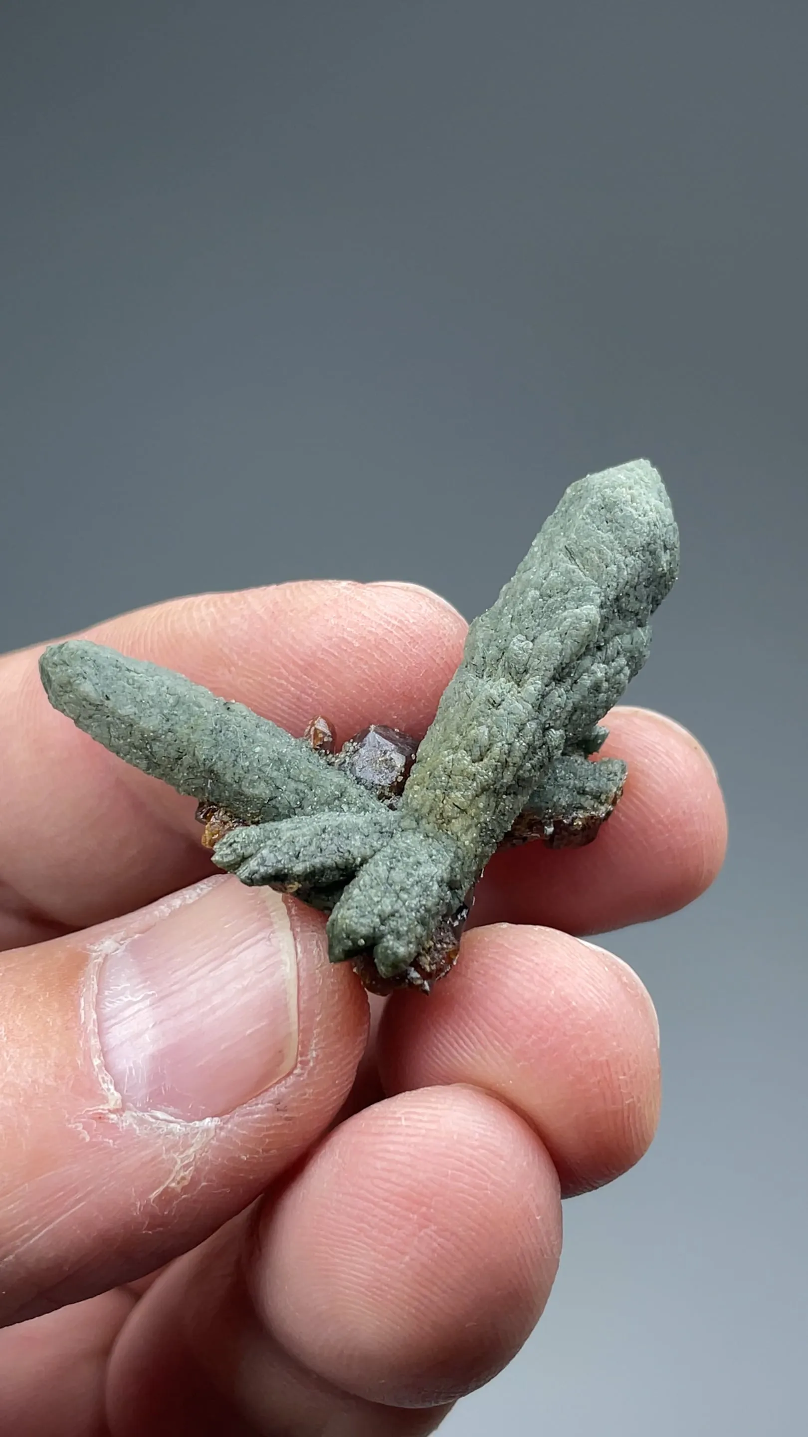 Quartz with Hedenbergite, Andradite - image 2