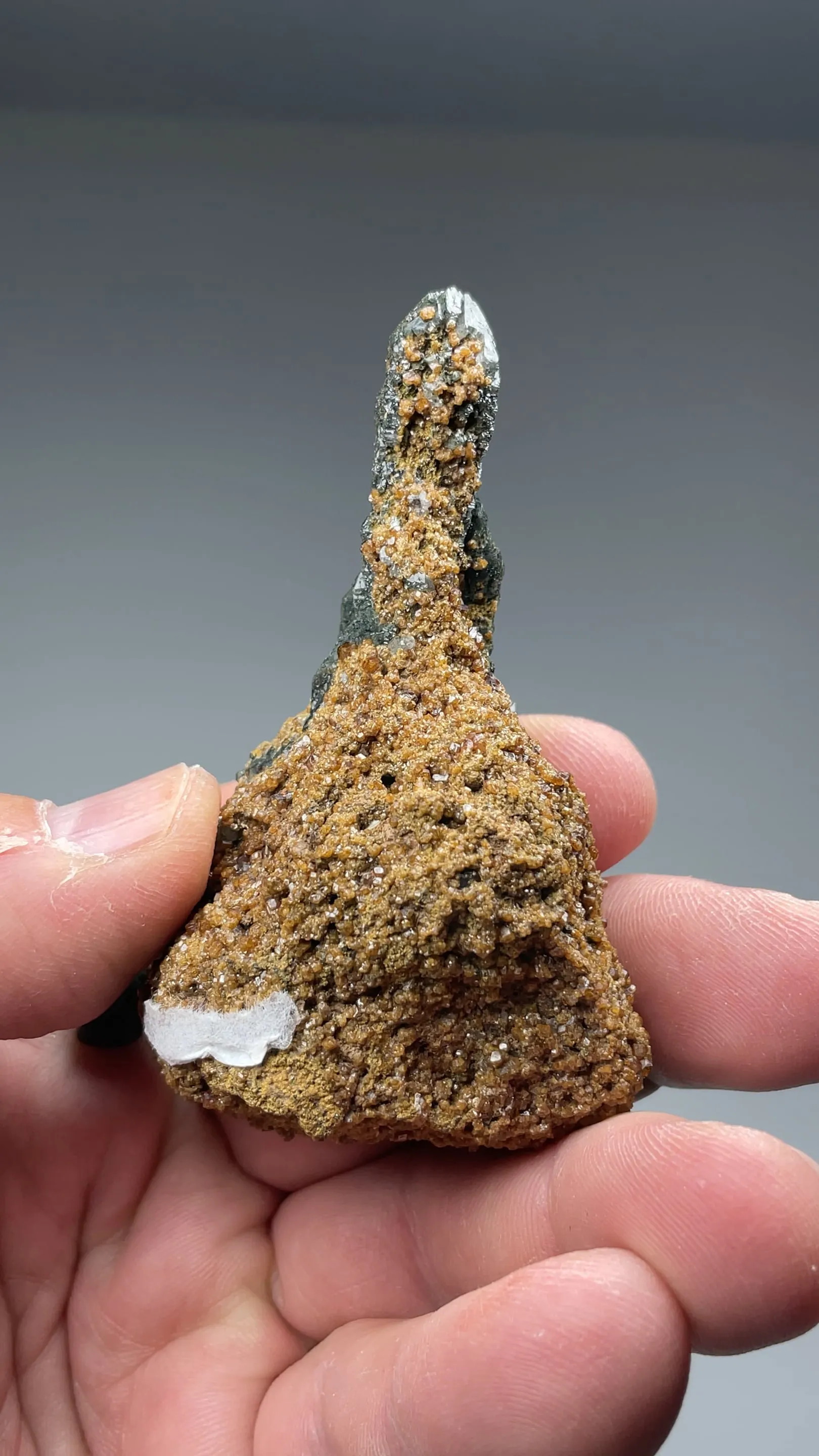 Quartz with Hedenbergite, Andradite - image 2