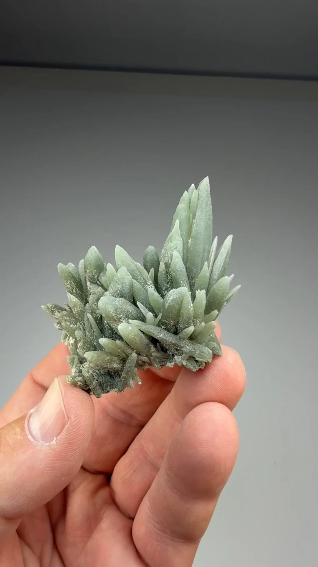 Quartz with Hedenbergite inclusions (305) - image 2