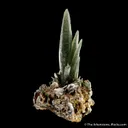 Quartz with Hedenbergite inclusions - image 1