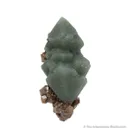 Quartz with Hedenbergite Inclusions and Andradite Garnet - image 2