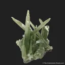 Quartz with Hedenbergite on Axinite - image 4