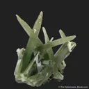 Quartz with Hedenbergite on Axinite - image 5
