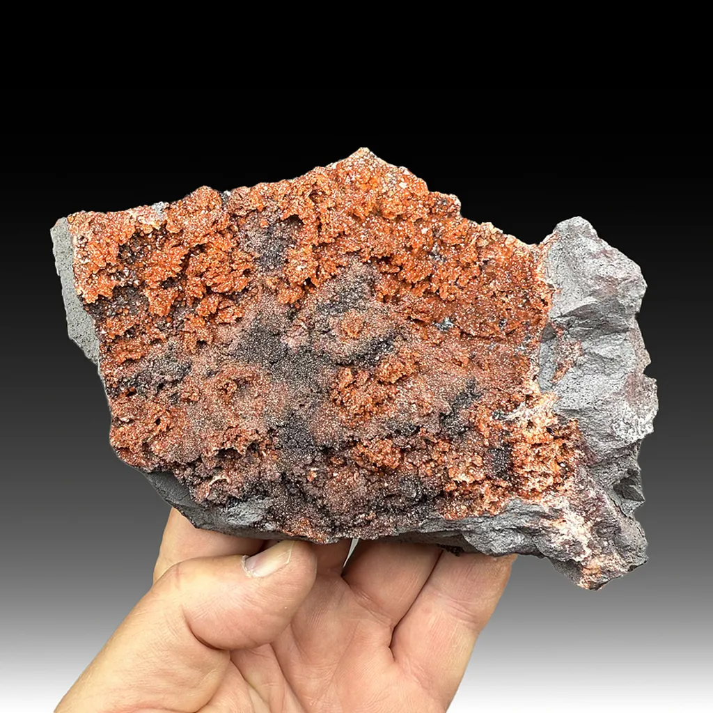 Quartz with Hematite image