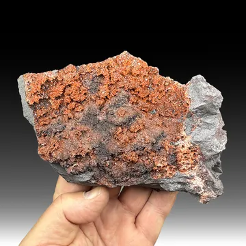 Quartz with Hematite