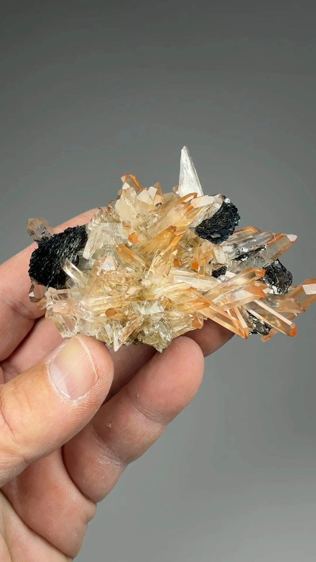 Quartz with Hematite - image 2