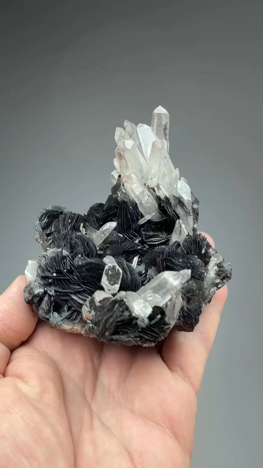 Quartz with Hematite - image 2