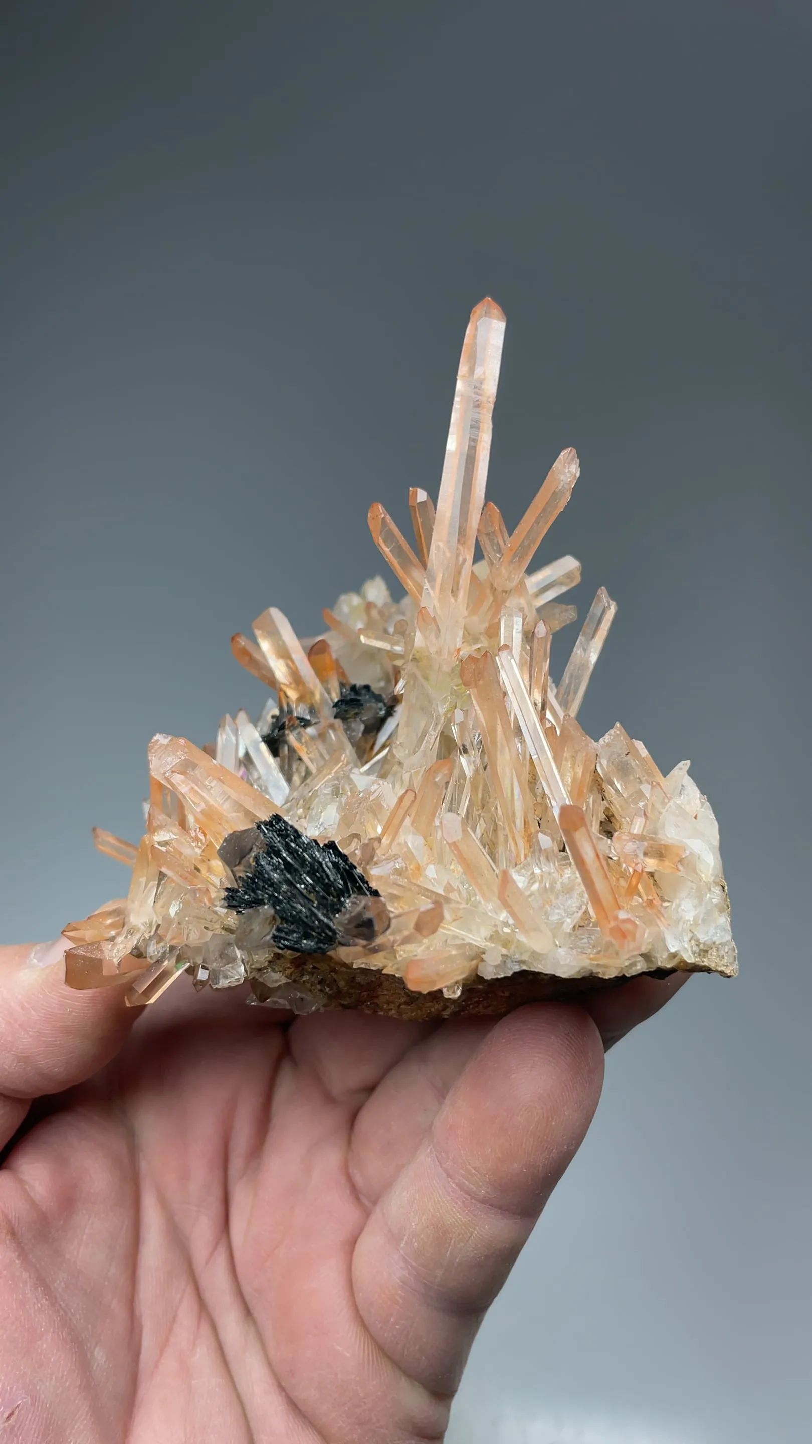 Quartz with Hematite - image 2