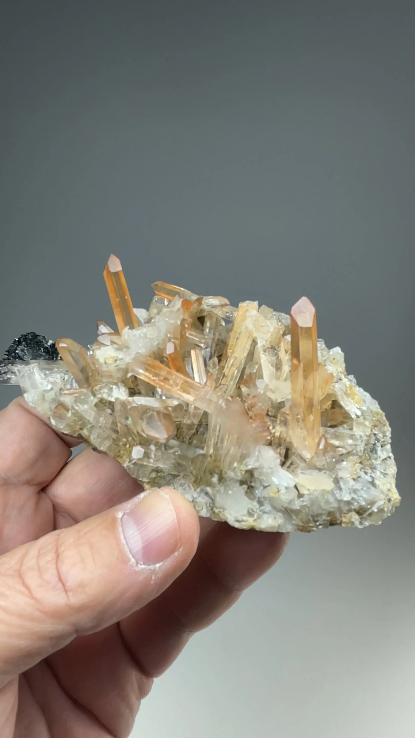 Quartz with Hematite - image 2