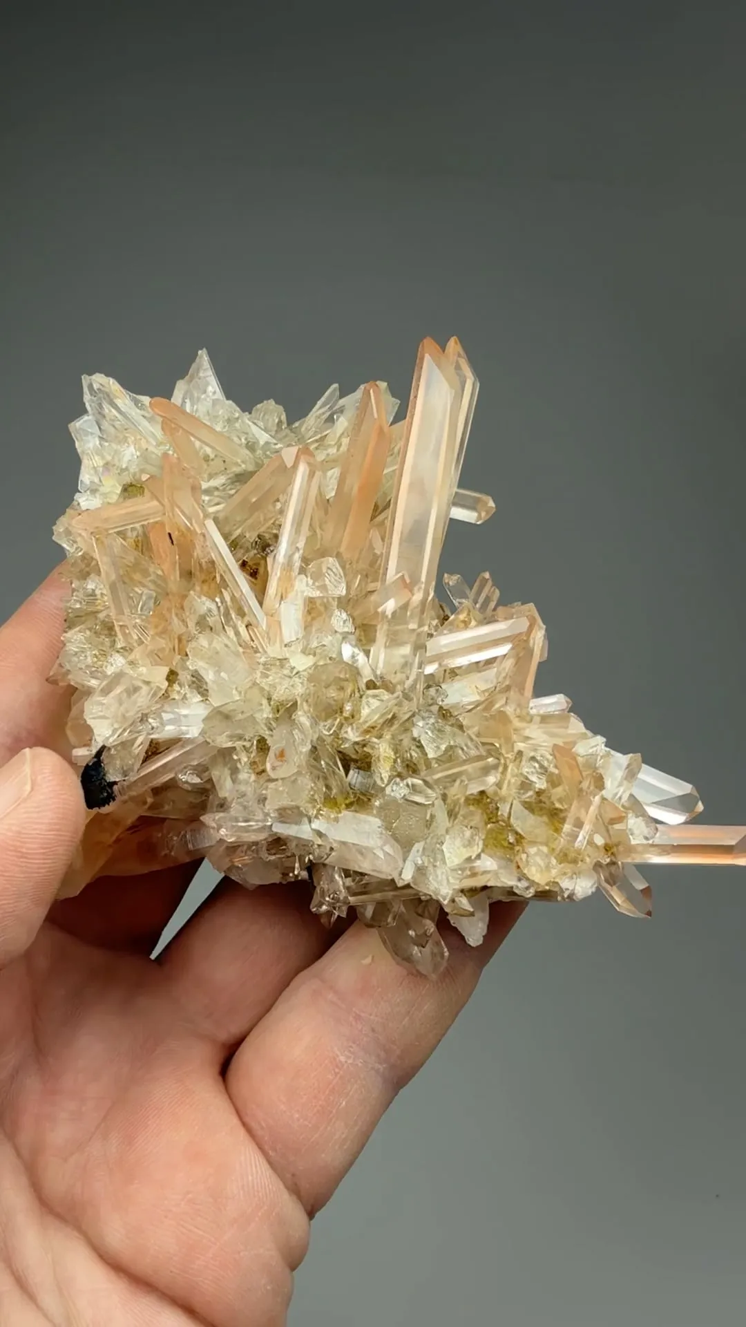 Quartz with Hematite - image 2