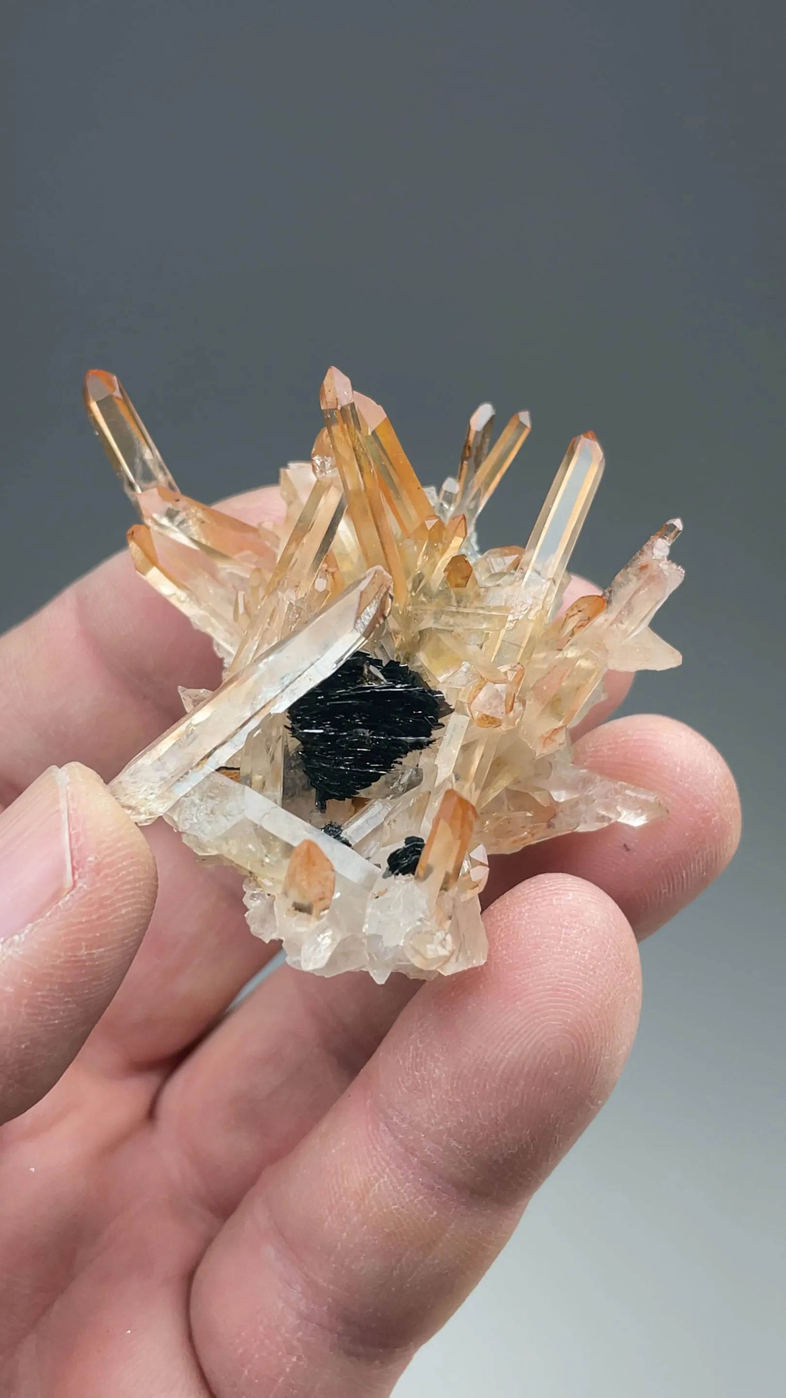 Quartz with Hematite - image 2