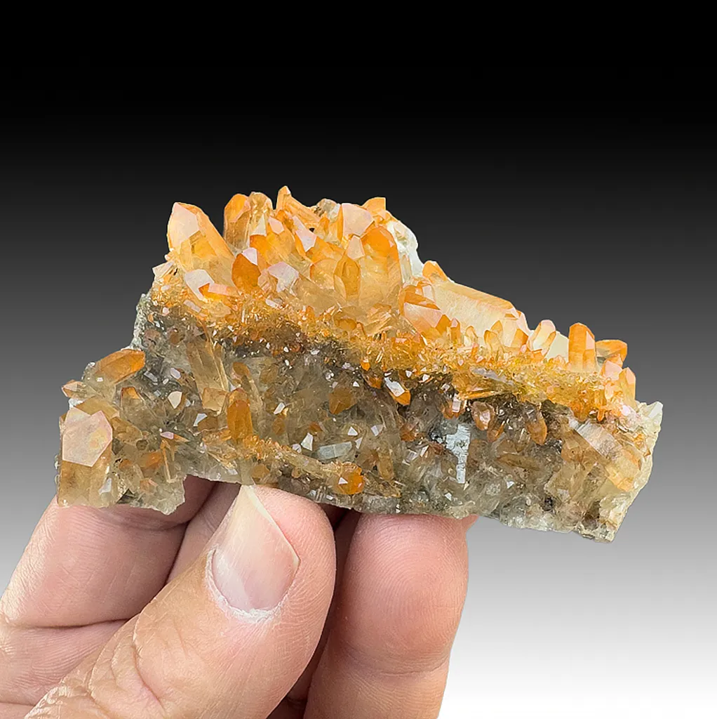 Quartz with Hematite image
