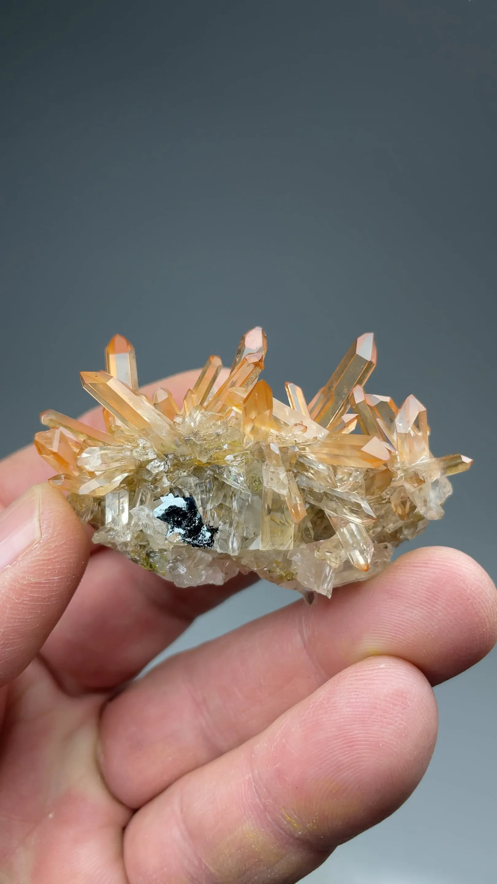 Quartz with Hematite - image 2