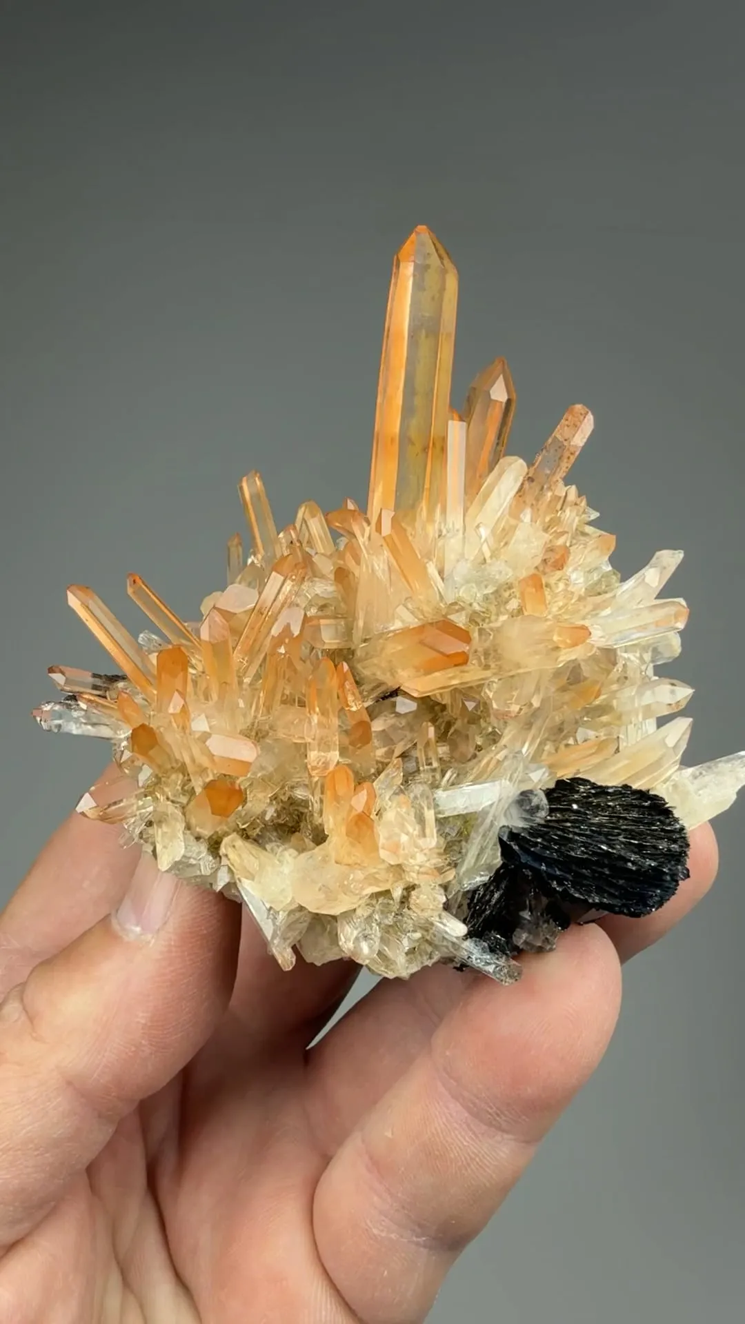 Quartz with Hematite - image 2