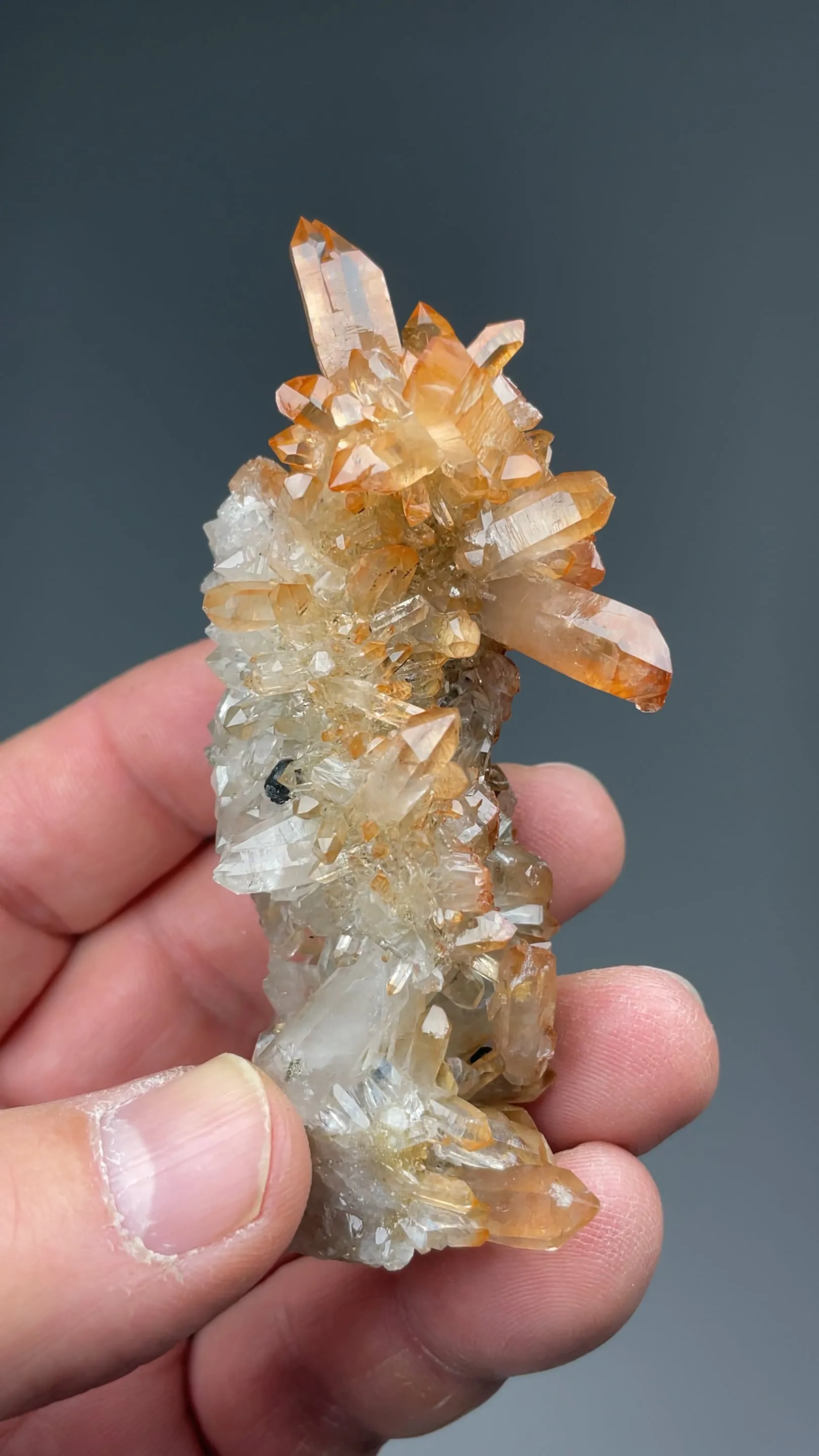 Quartz with Hematite, Bitumen - image 2