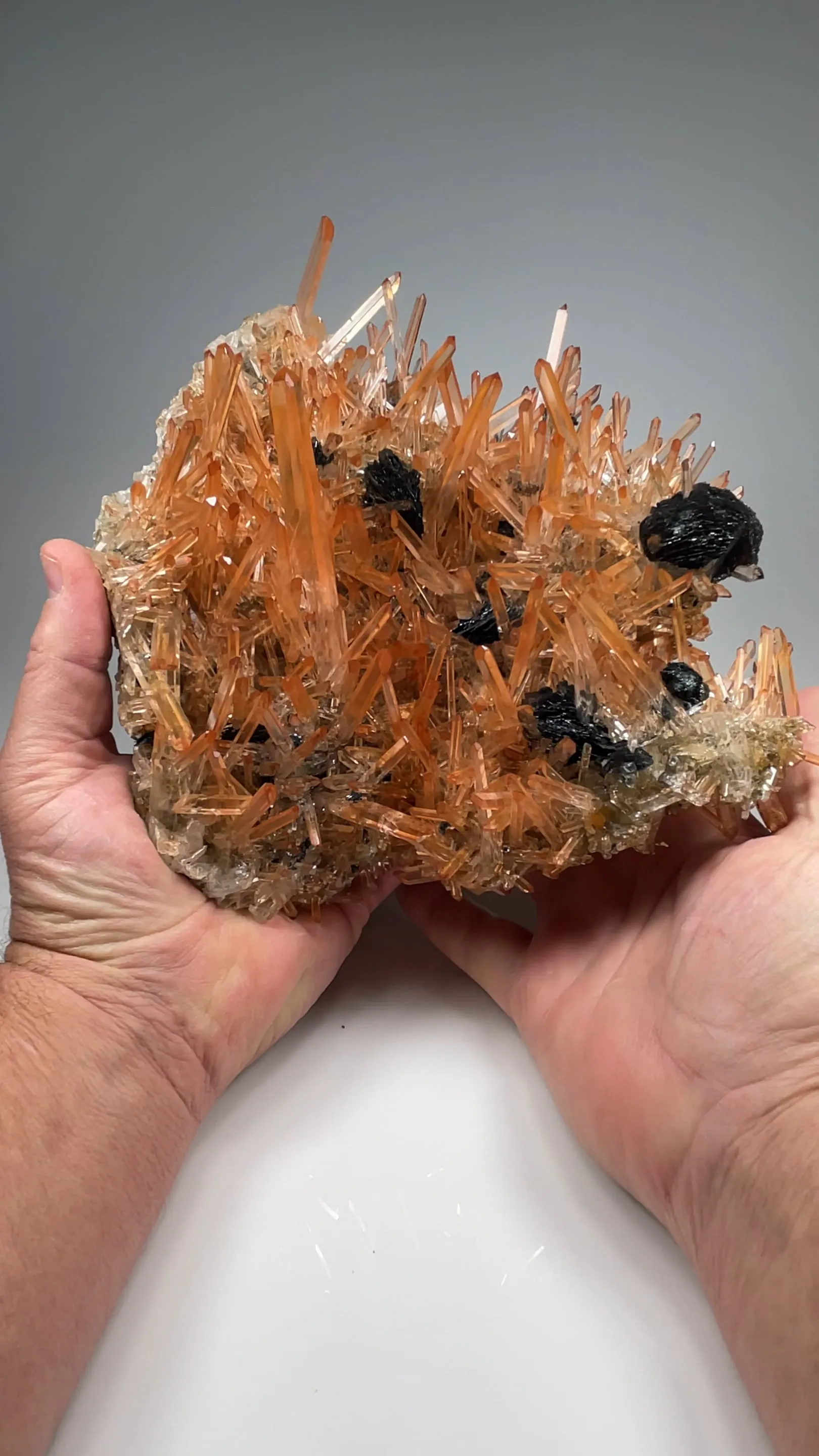 Quartz with Hematite - image 2
