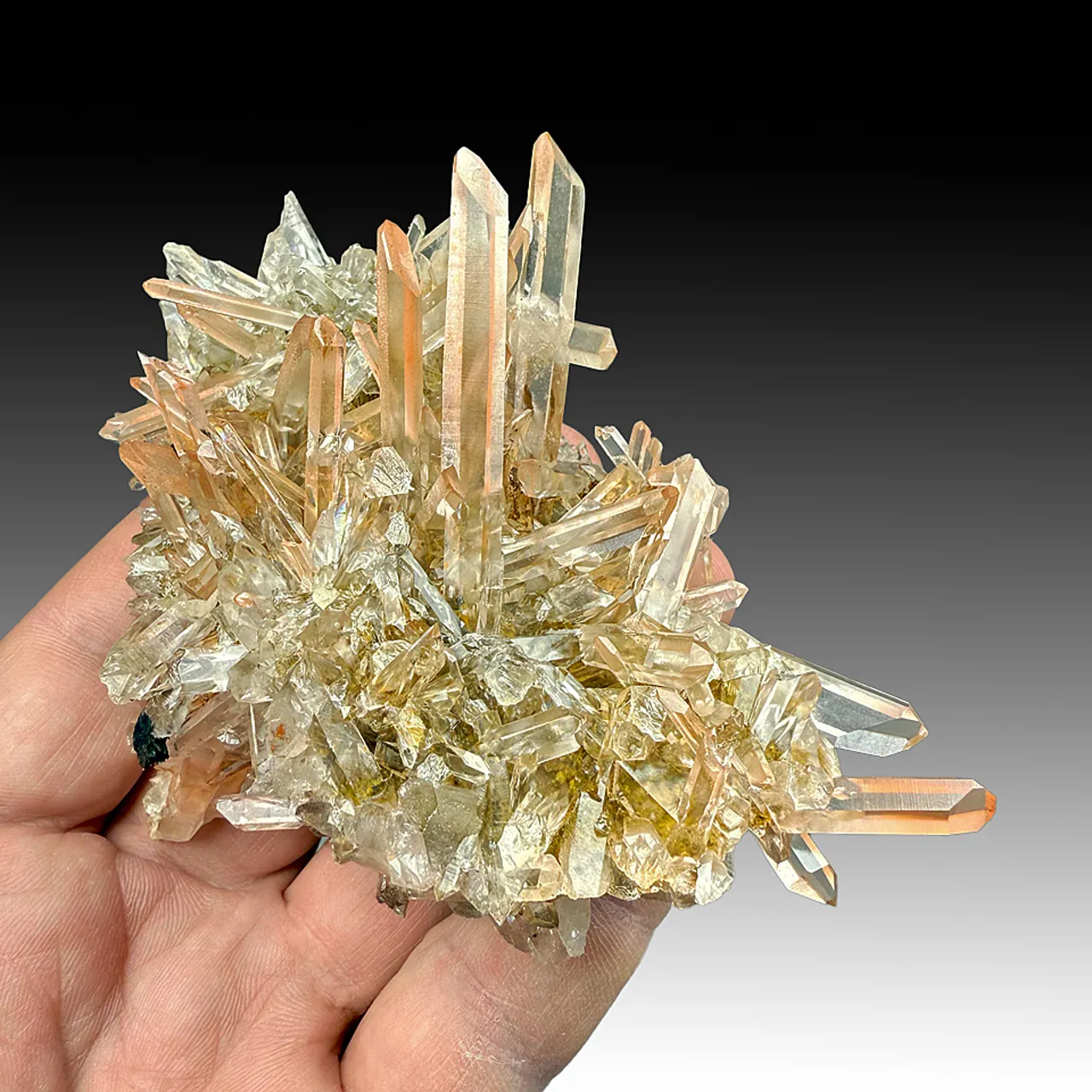 Quartz with Hematite - image 1