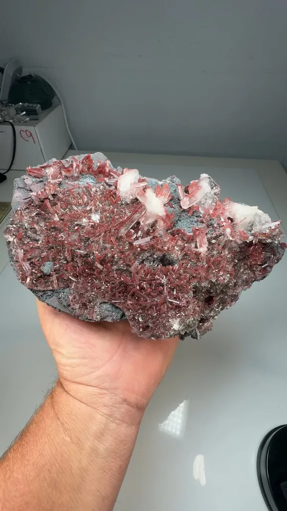 Quartz with Hematite image