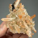 Quartz with Hematite - image 2