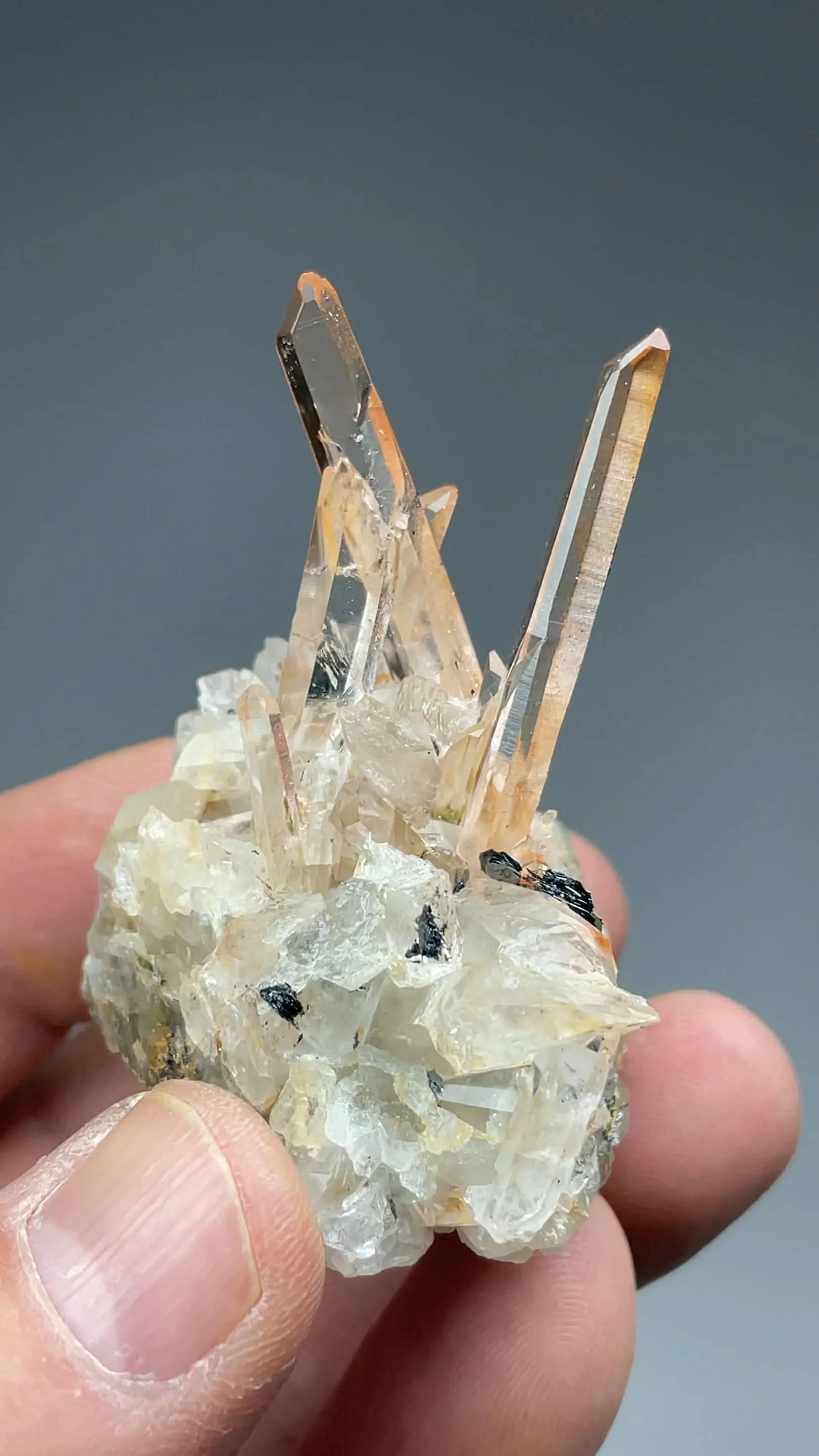 Quartz with Hematite - image 2