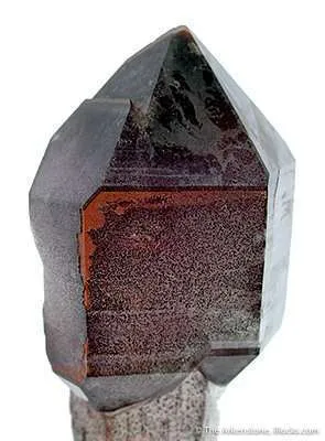 Quartz With Hematite-Included Scepter - image 3