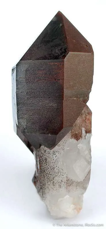 Quartz With Hematite-Included Scepter - image 2
