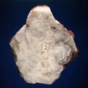Quartz with Hematite inclusions - image 4