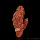 Quartz with Hematite inclusions - image 2